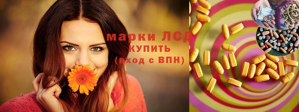 гидра Богданович