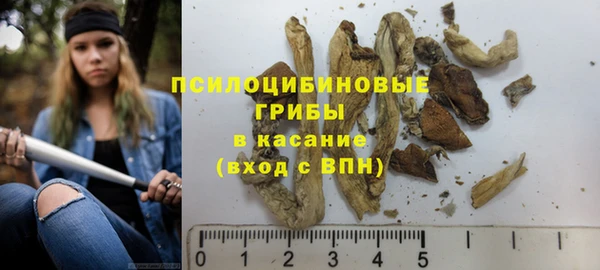 ECSTASY Богородицк