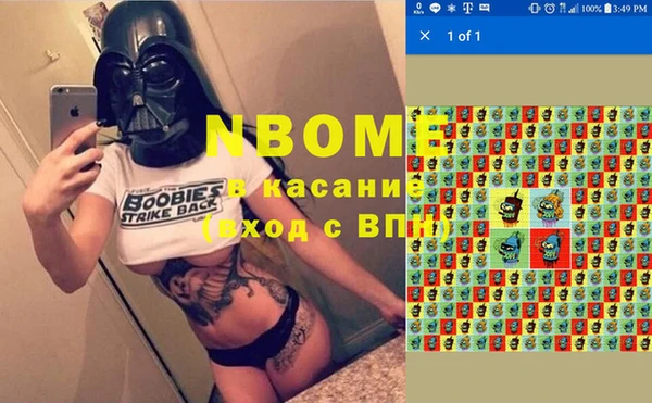 гидра Богданович
