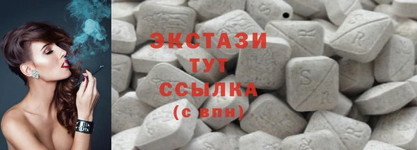 индика Беломорск