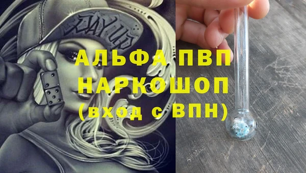 спиды Горняк