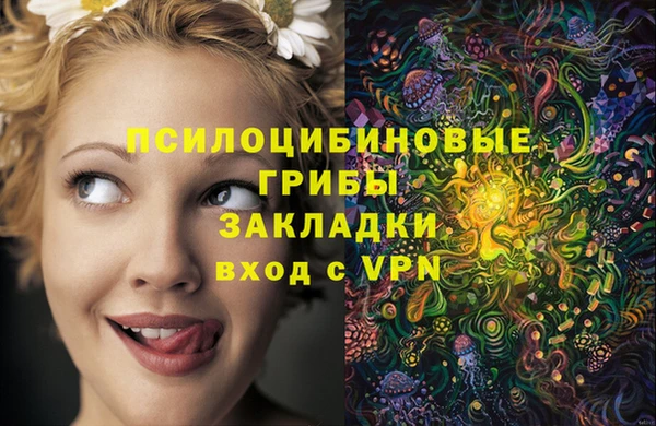 гидра Богданович