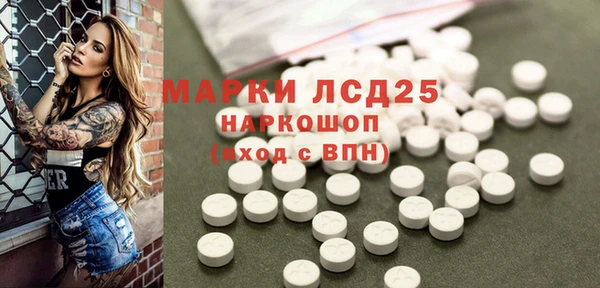 гидра Богданович