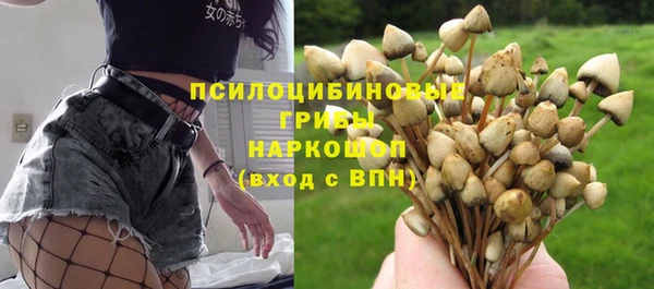 ECSTASY Богородицк