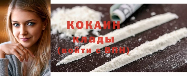 гидра Богданович
