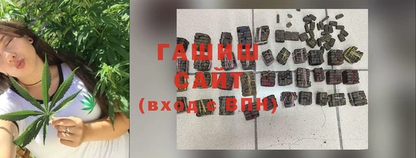 гидра Богданович