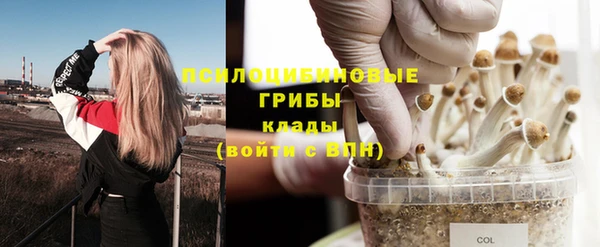 ECSTASY Богородицк