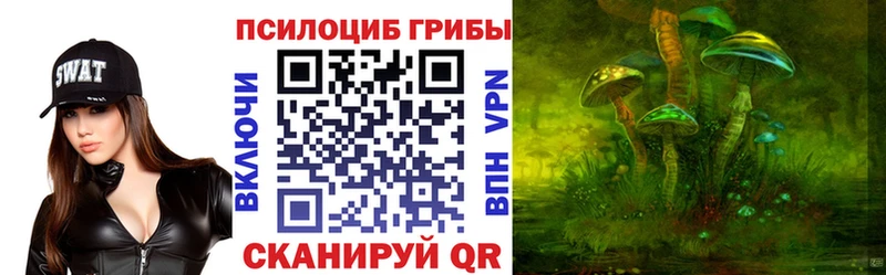 Псилоцибиновые грибы Psilocybine cubensis  Дмитров 